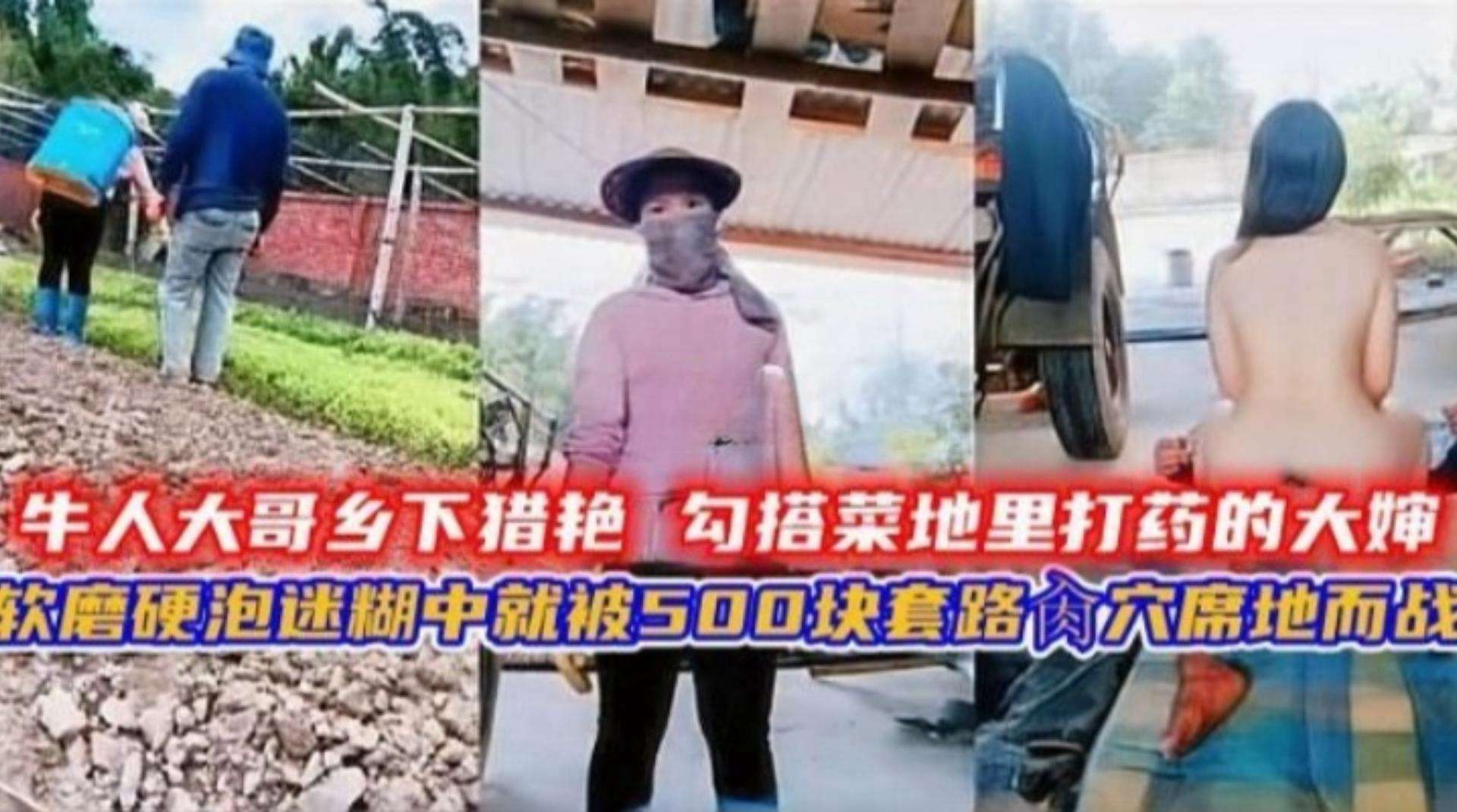 真实猎艳大哥乡下勾引菜地里的大婶软磨硬泡500块拿下野战操内射